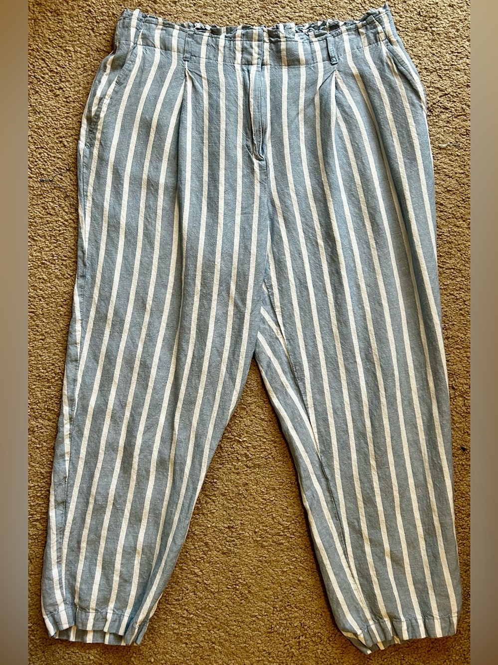 LOFT Blue and White Striped Women’s Chinos
